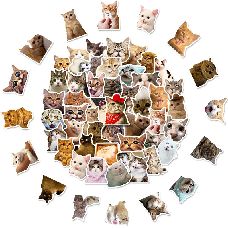 Set de 50 stickers gatitos
