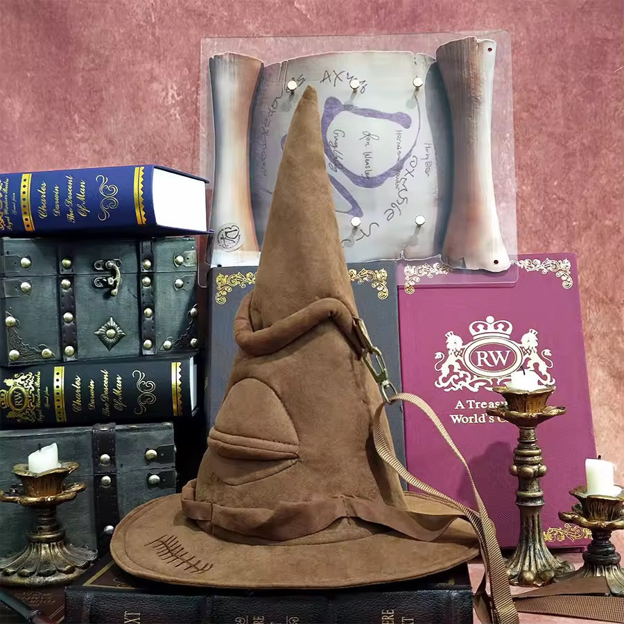 Bolso Sombrero Seleccionador Harry Potter