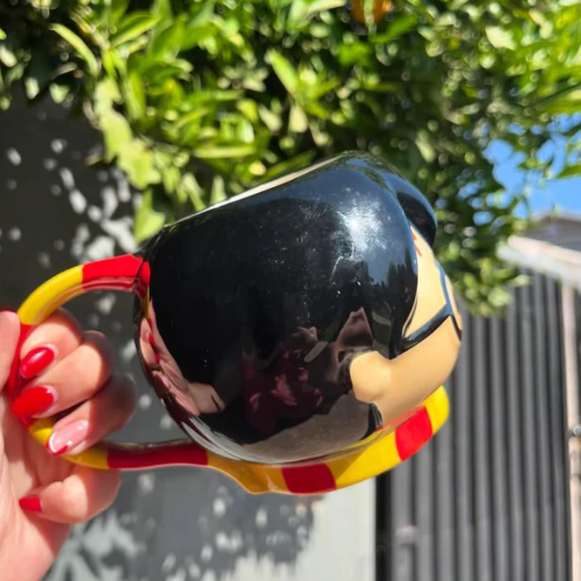 Taza cerámica Harry Potter