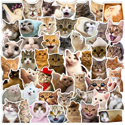 Set de 50 stickers gatitos