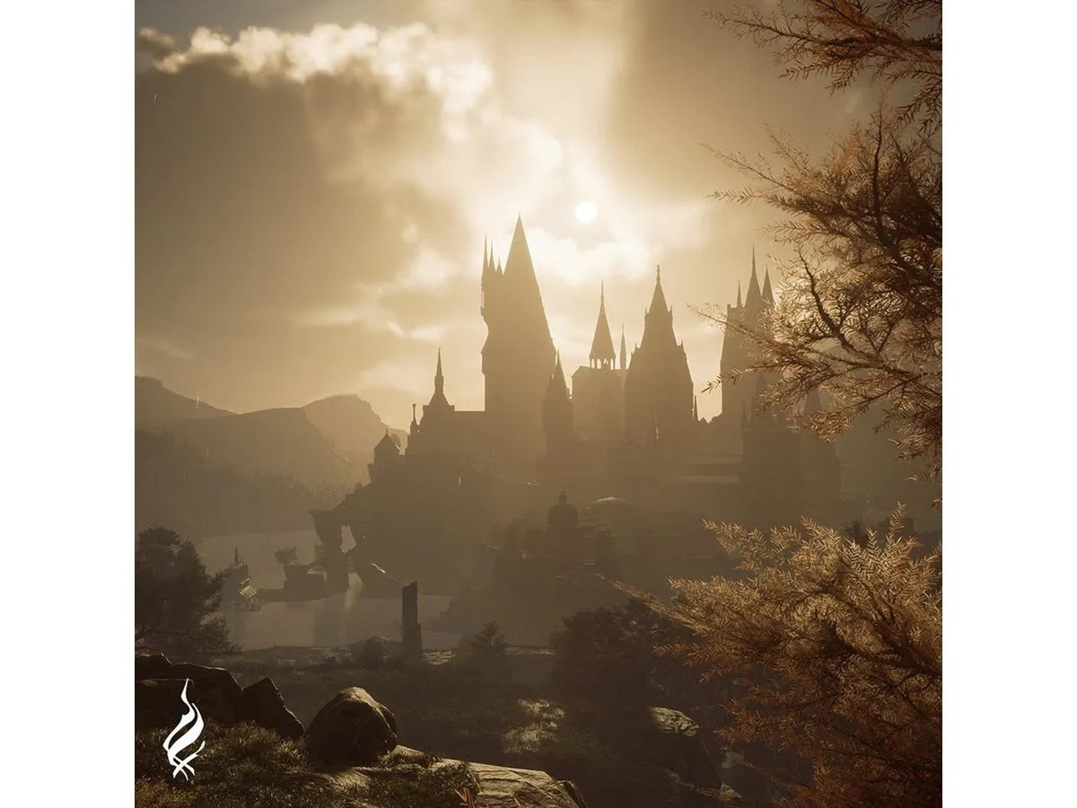 Videojuego físico Hogwarts Legacy PS5