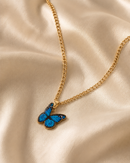 Collar de mariposa morfo