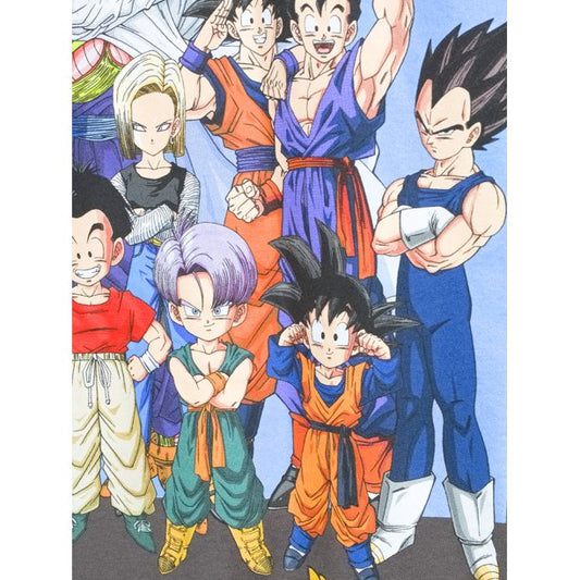 Camisa unisex licenciada Dragon Ball talla S